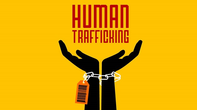 anti trafficking organizations